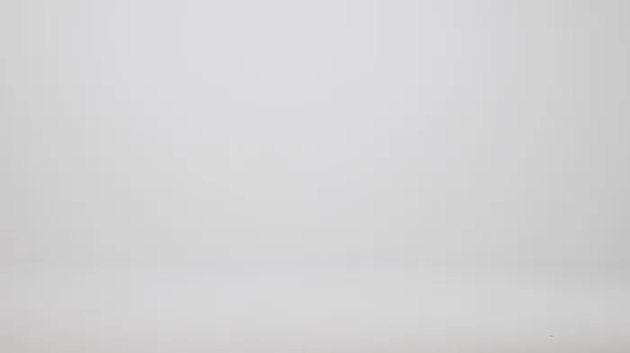 Brahmin Satchels Caroline Tart Topsail 8211 Women Brahmin Satchels Caroline Tart Topsail 8211 Women